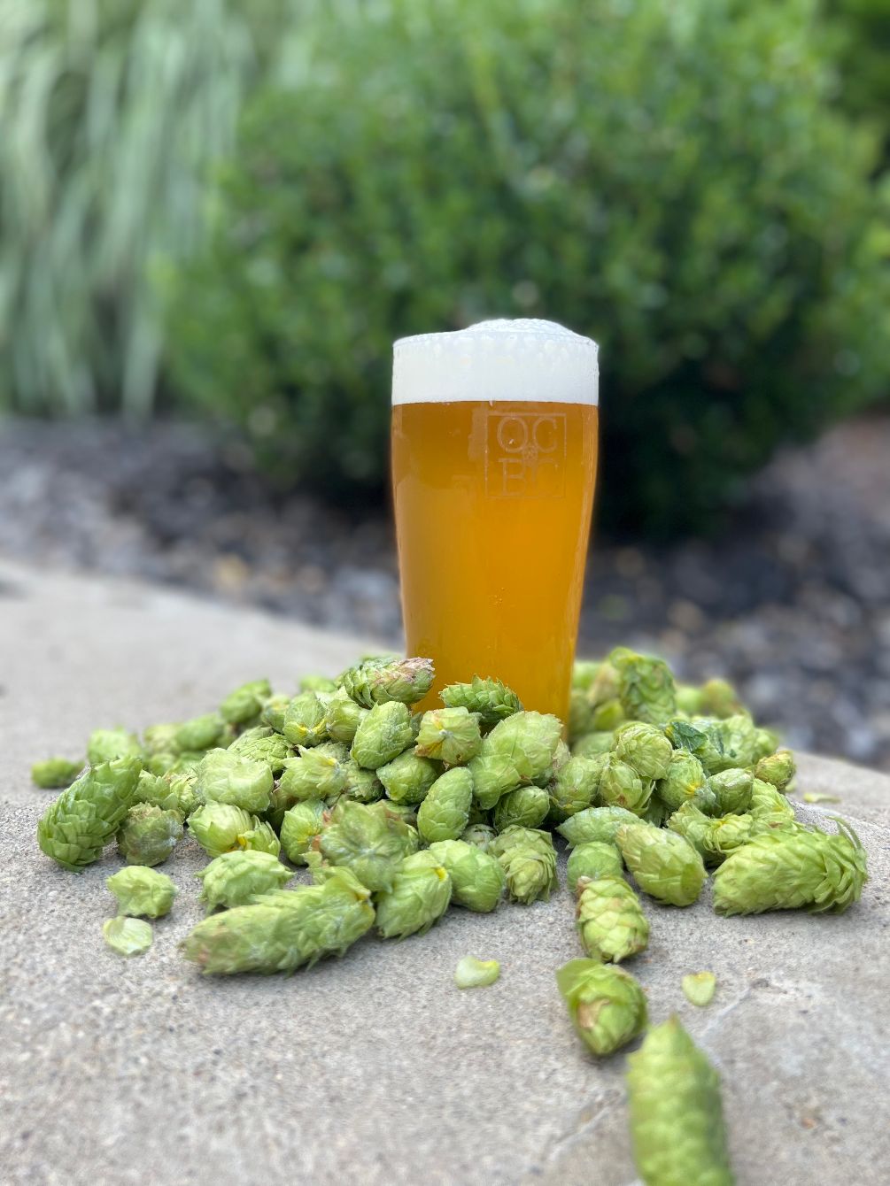 About the OCBC w/ Juicy Hop on back campaign on Bonfire 2