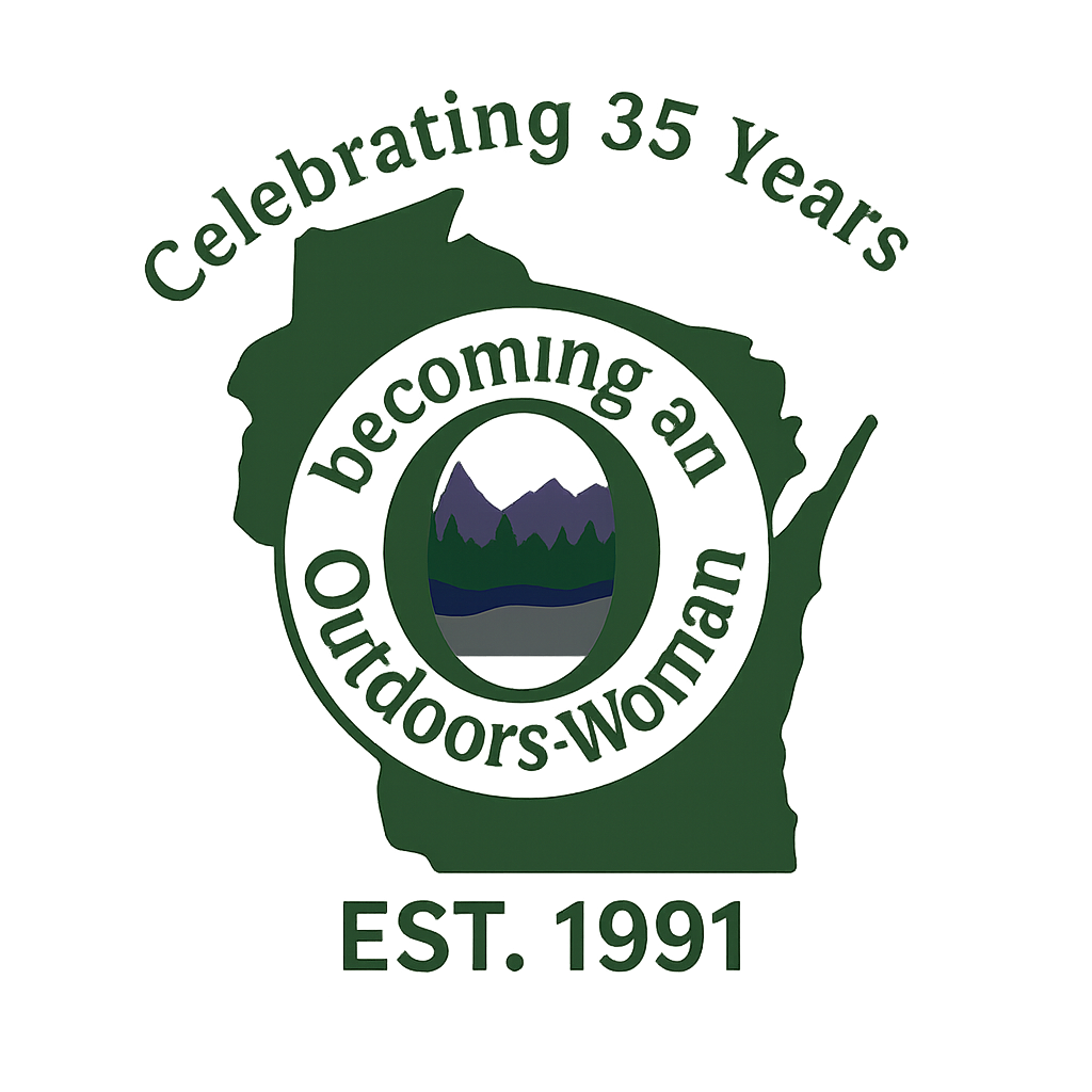 About the  campaign on Bonfire 2