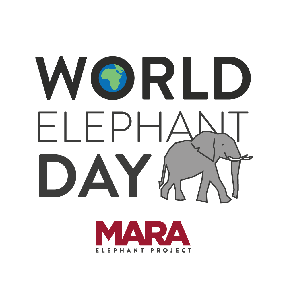 About the World Elephant Day 2026 campaign on Bonfire 2