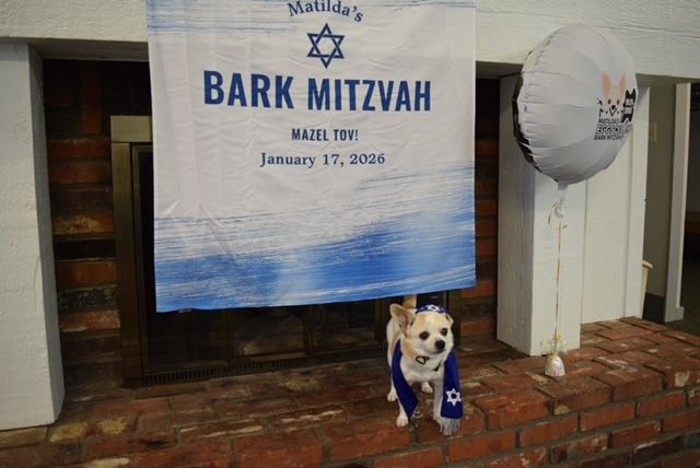 About the Matilda's Bark Mitzvah- The Pixie Project campaign on Bonfire 7