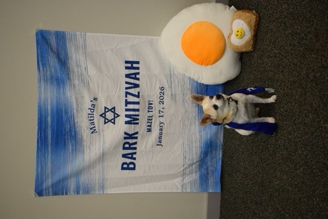 About the Matilda's Bark Mitzvah- The Pixie Project campaign on Bonfire 2