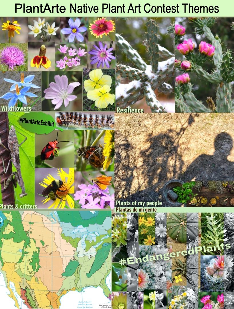 About the  campaign on Bonfire 2