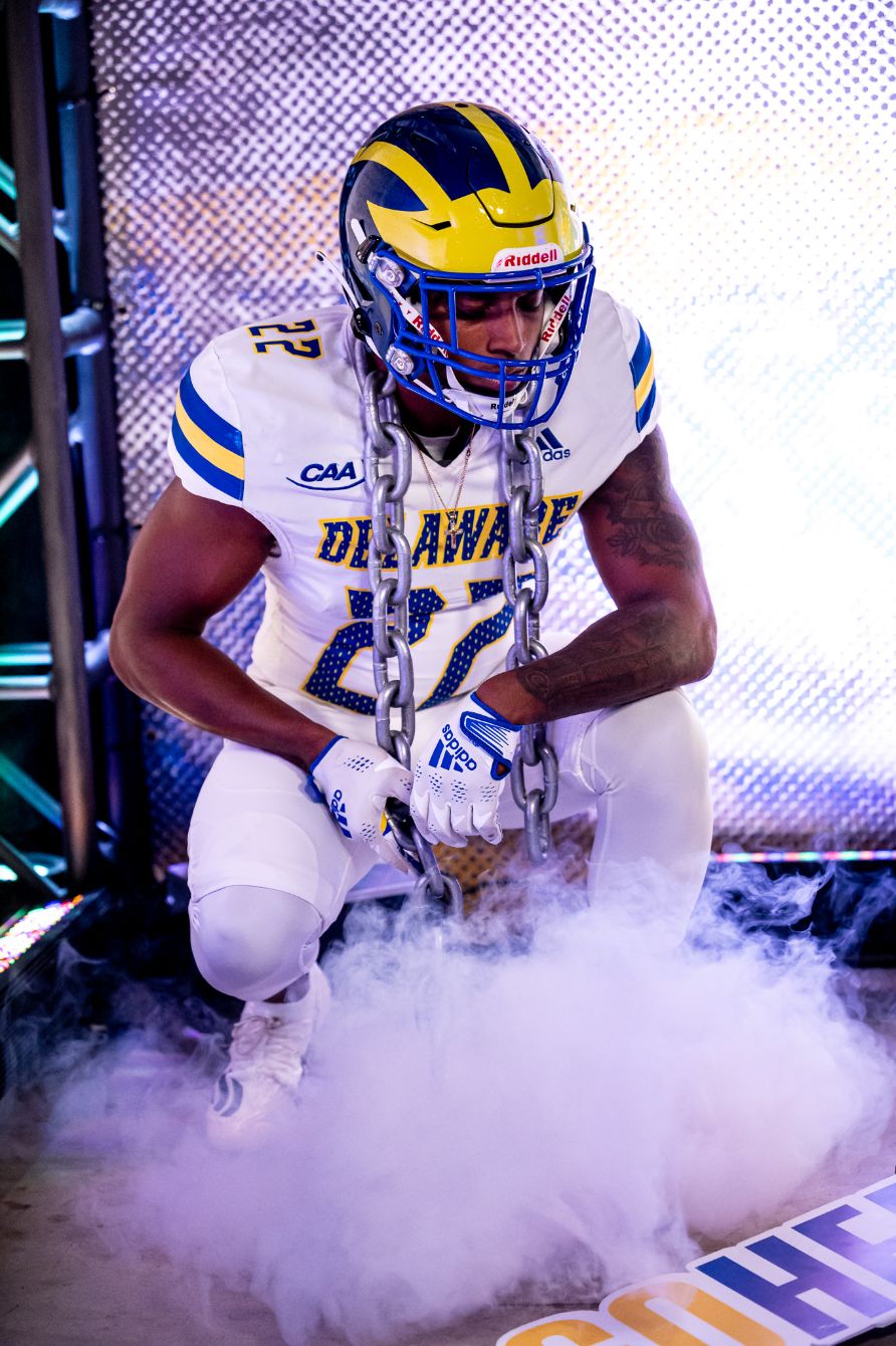 About the  campaign on Bonfire 2