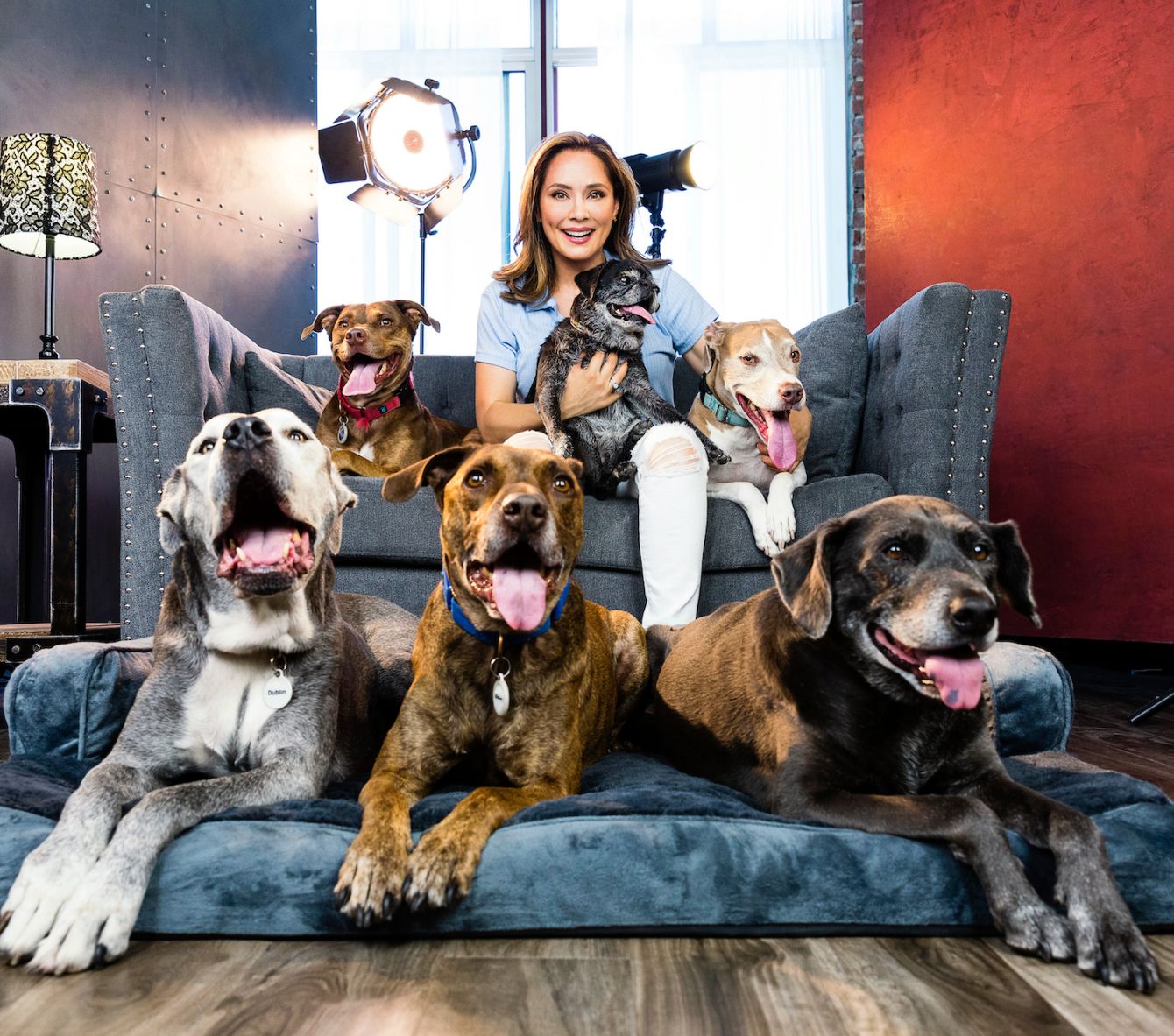 When To Get A Dog Fixed