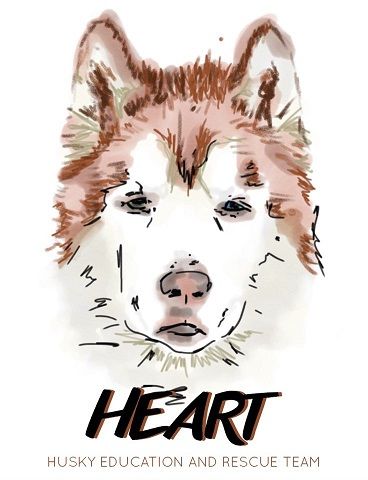 heart husky rescue