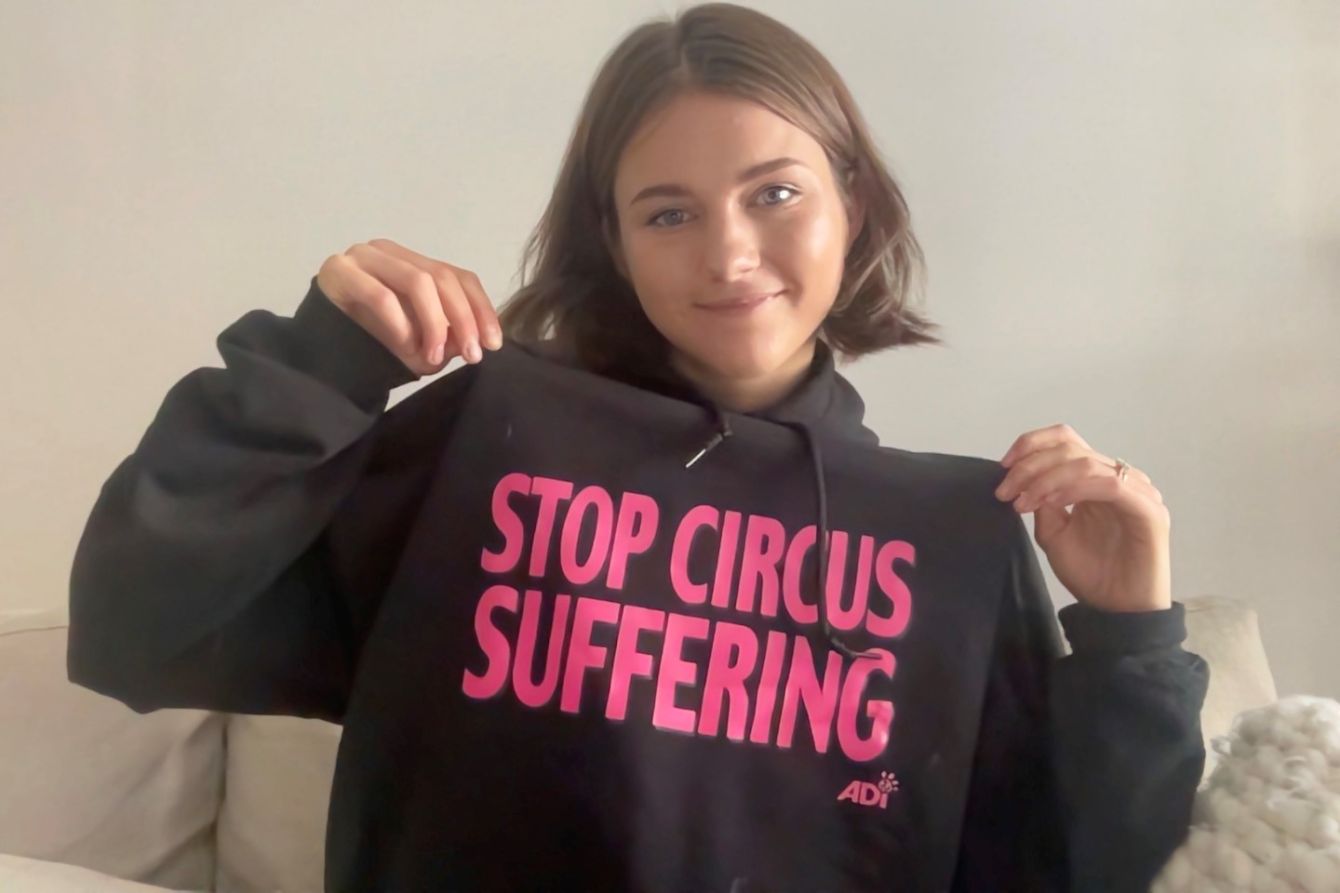 About the Stop Circus Suffering campaign on Bonfire 3