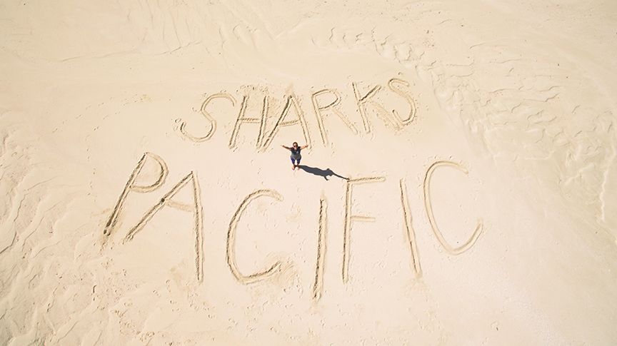 About the Two-Tone Navy Cotton Totes campaign on Bonfire 2