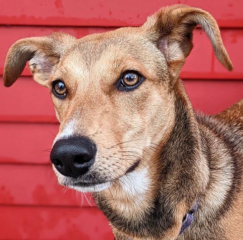 About the  campaign on Bonfire 3