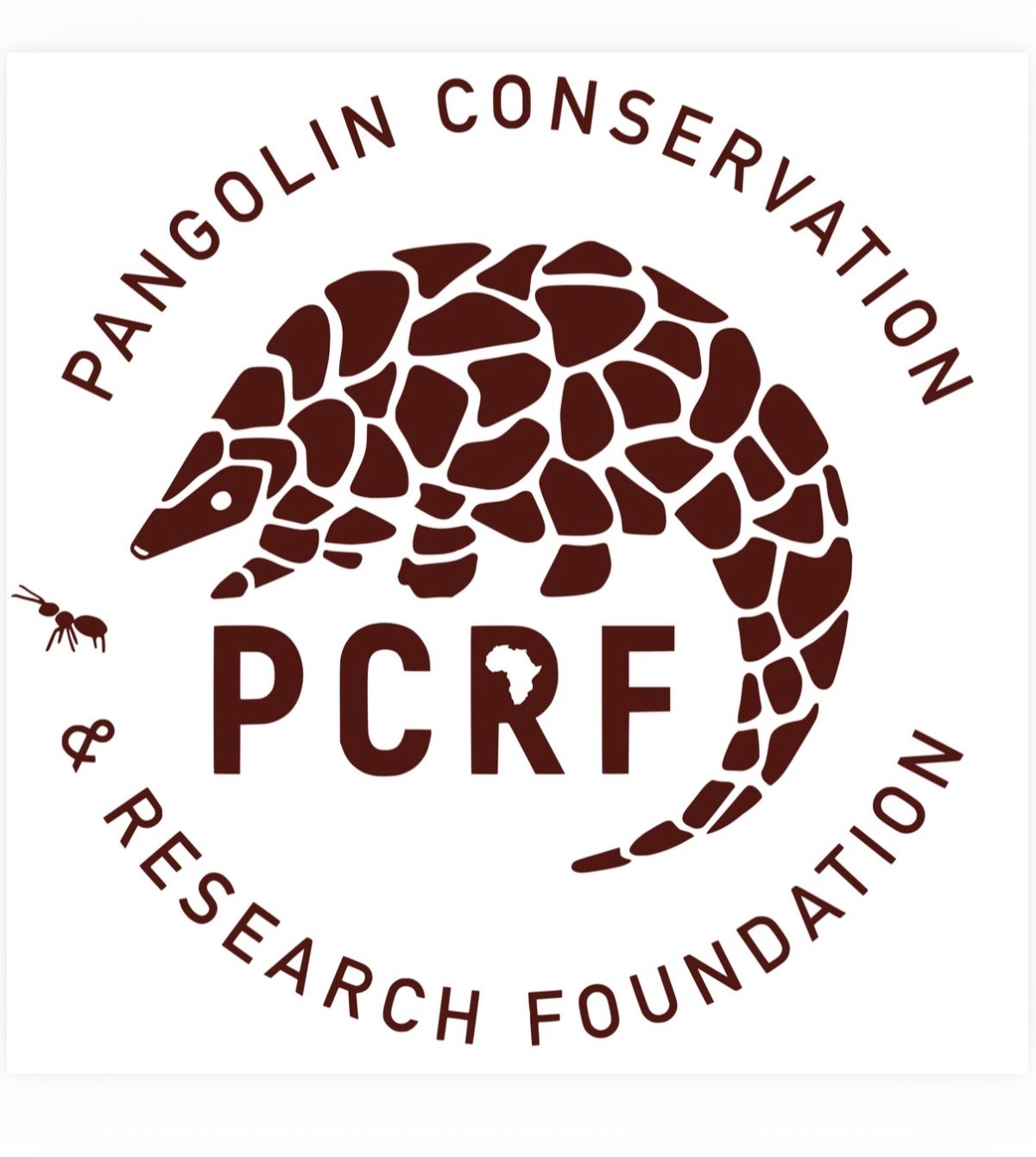 About the Phoenix AAZK's Pangolin Pizza Party! campaign on Bonfire 2