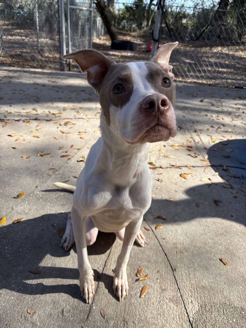 About the Start Your Morning the Olive Way! campaign on Bonfire 2