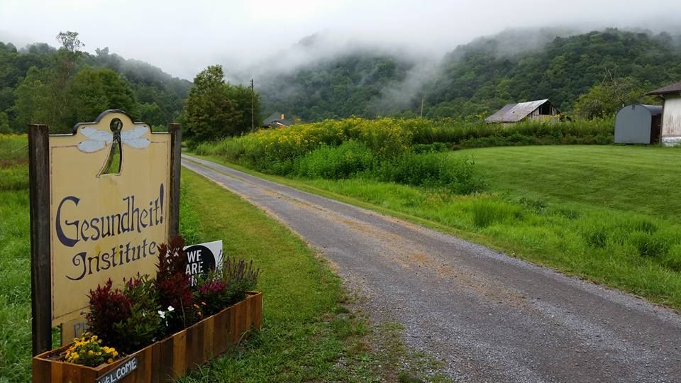 About the  campaign on Bonfire 4