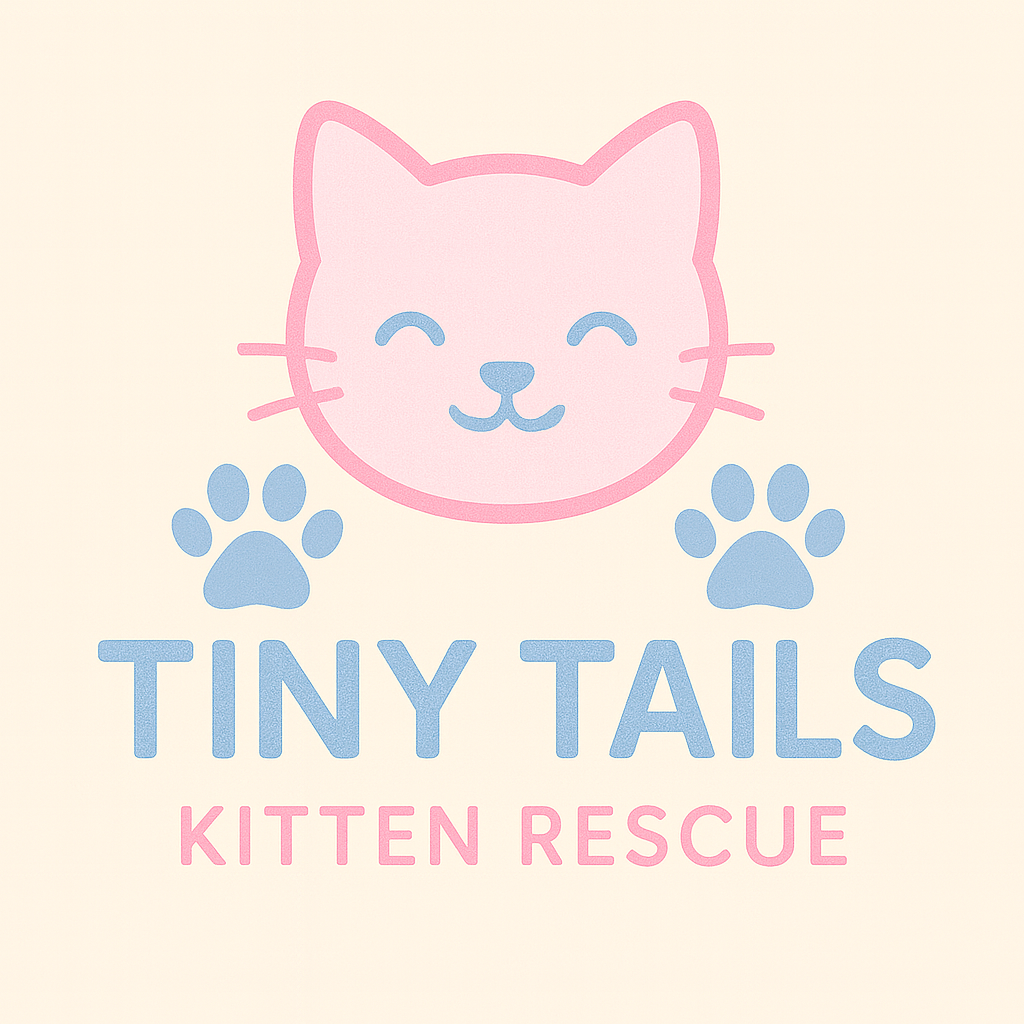 About the  campaign on Bonfire 2