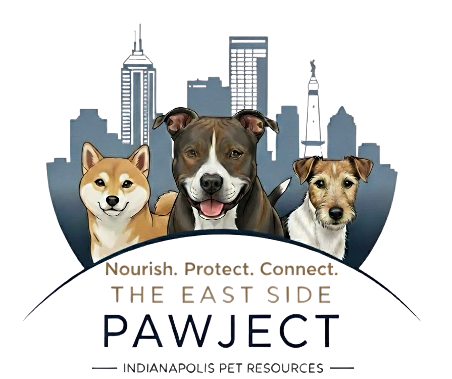 About the Eastside Pawject&nbsp; campaign on Bonfire 2