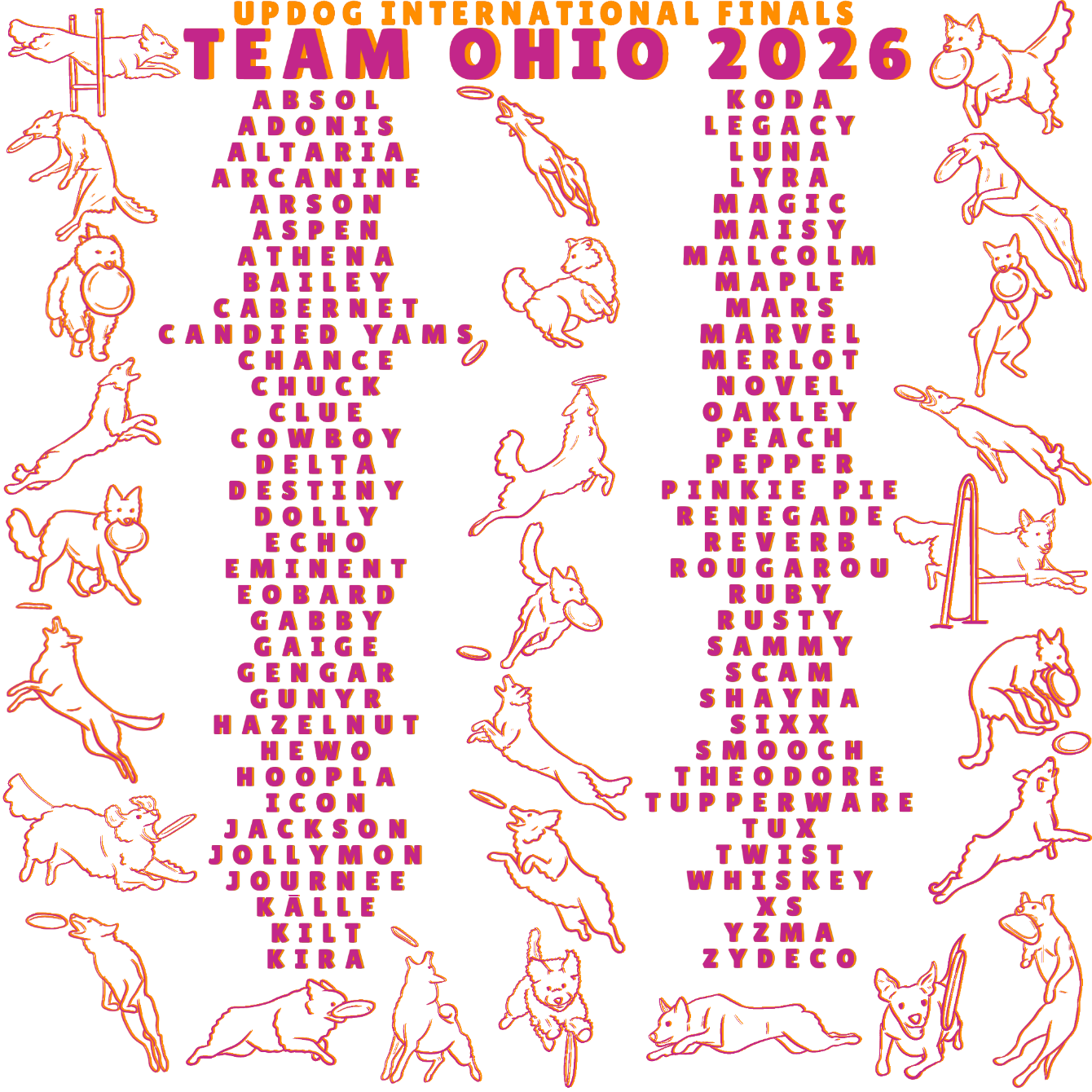 About the Team Ohio UPDIF 2026 PINK plus Chuck campaign on Bonfire 2