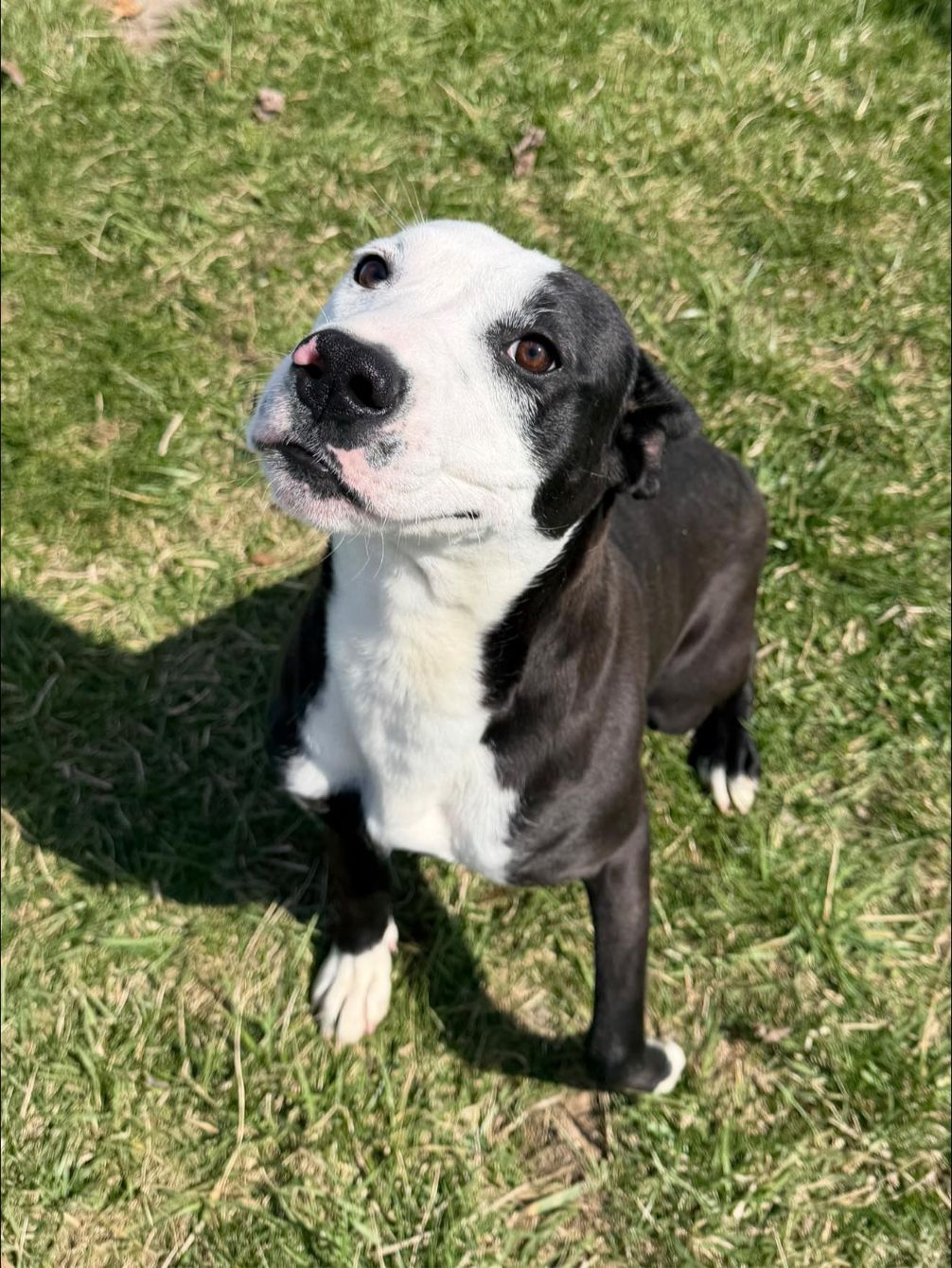 About the MCHS T-SHIRT FUNDRAISER campaign on Bonfire 6