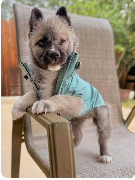 About the Change Their Life Fundraiser campaign on Bonfire 2