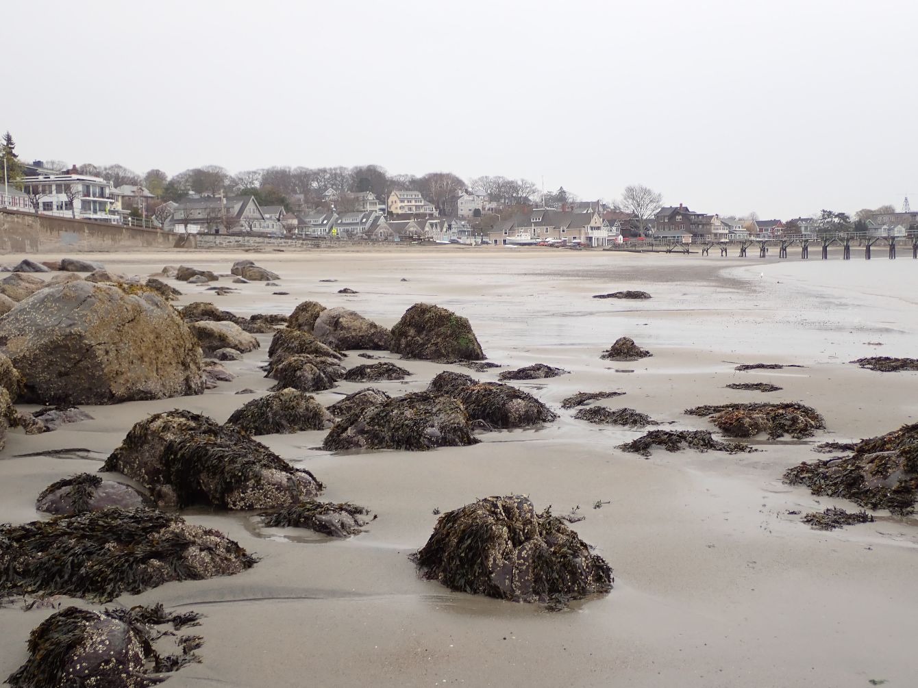 About the Beach Pride! campaign on Bonfire 2