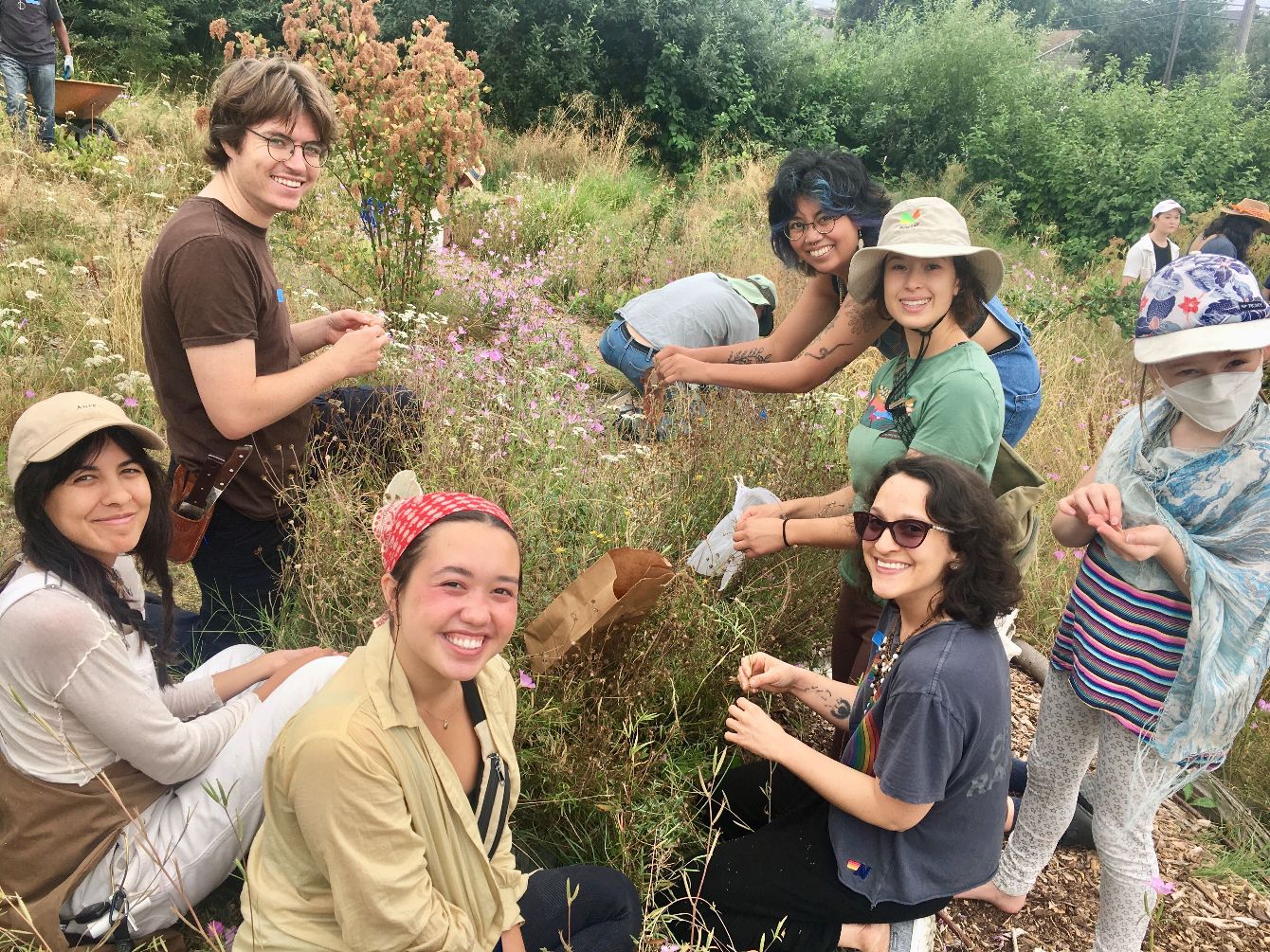 About the Beacon Food Forest T-Shirt campaign on Bonfire 10