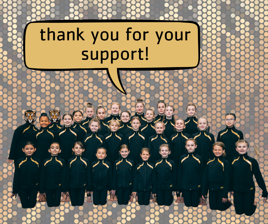 About the Tiger Paw Print Shirts campaign on Bonfire 2