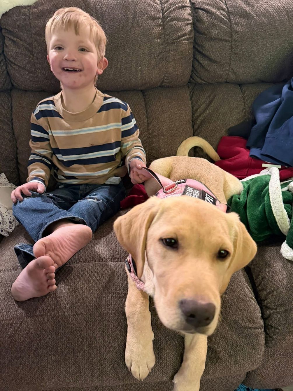 About the PAWZ FOR PEYTON campaign on Bonfire 2