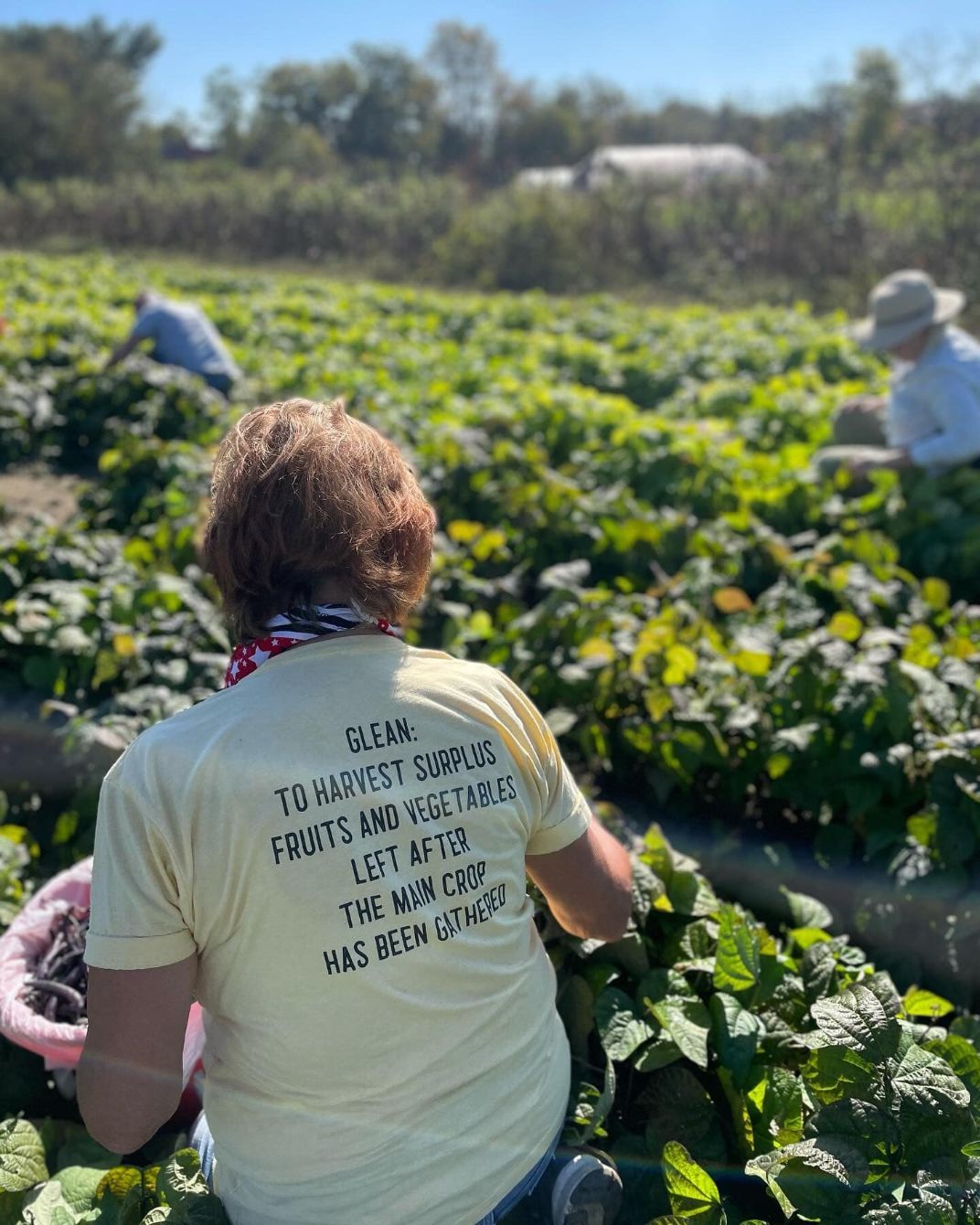 About the Farmers Against Hunger Fundraiser campaign on Bonfire 6
