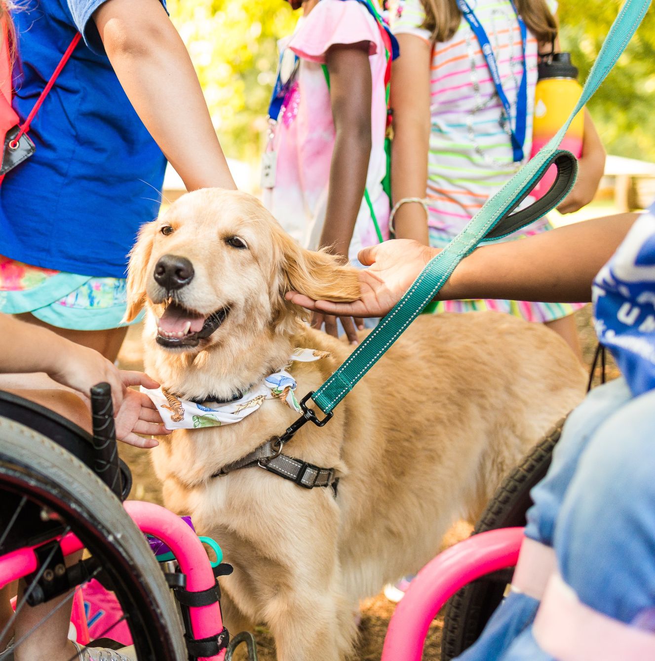 About the The Dory Shirt campaign on Bonfire 2