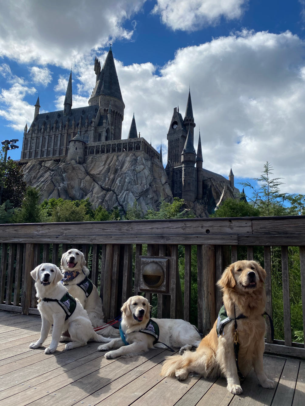 About the Training a HERO campaign on Bonfire 2