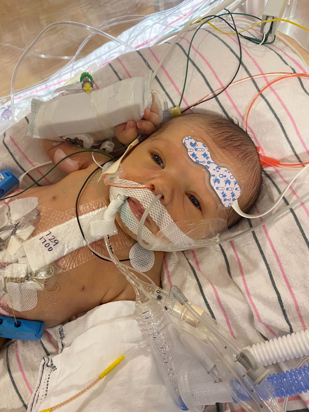 About the  campaign on Bonfire 2