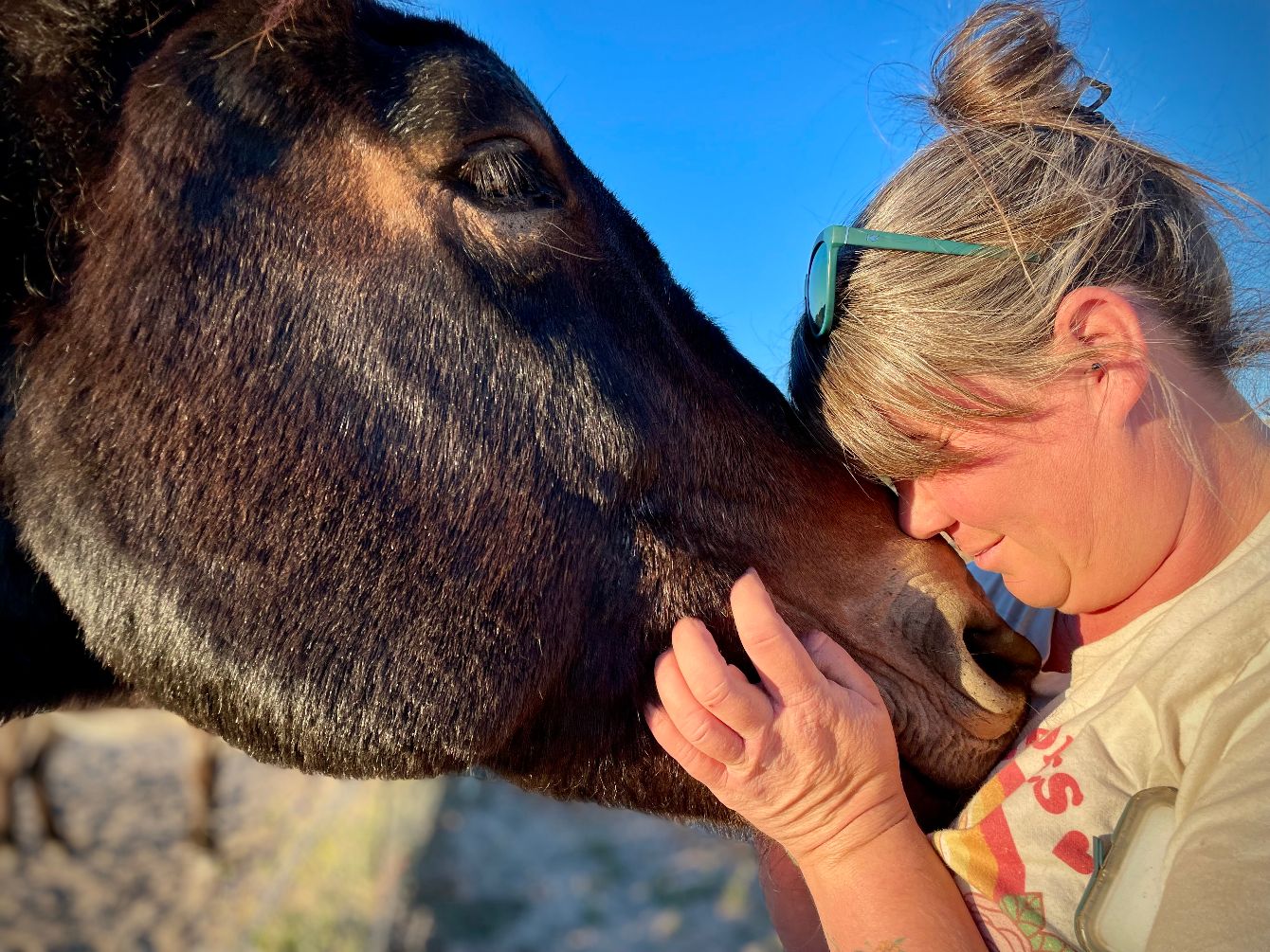 About the Ranch Hand Collection&nbsp; campaign on Bonfire 2