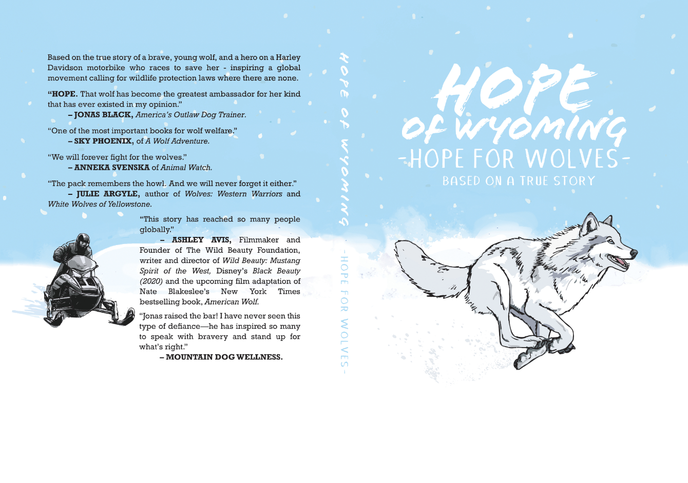 About the HOPE OF WYOMING campaign on Bonfire 2