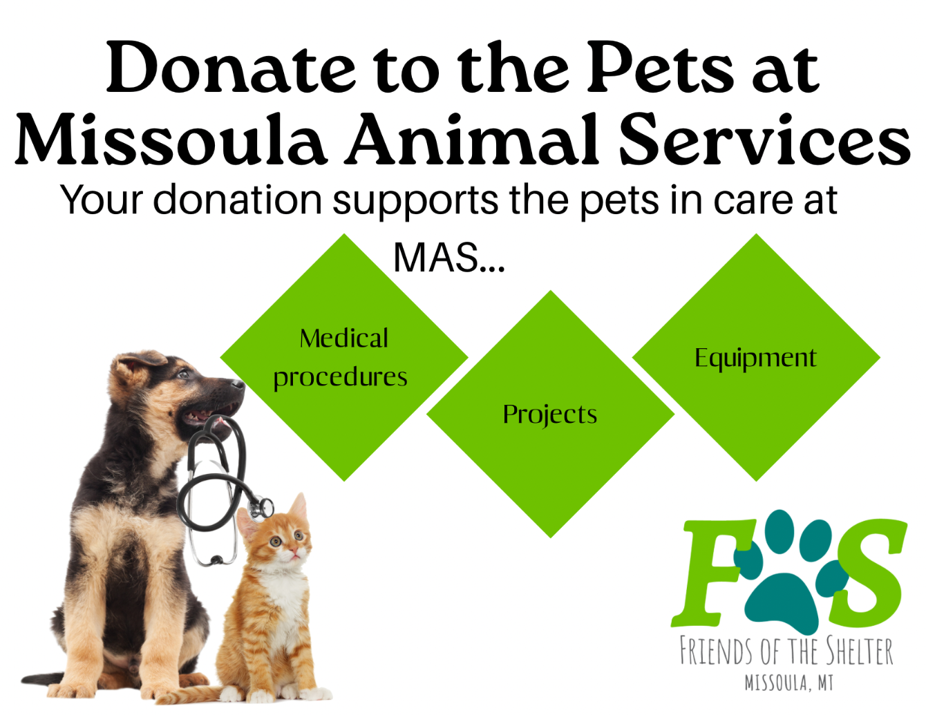 About the Anatolian Skeleton for a Cause! campaign on Bonfire 4