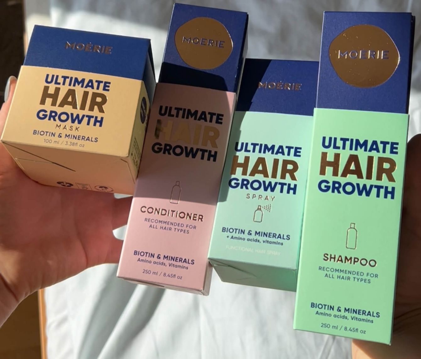 About the  campaign on Bonfire 7