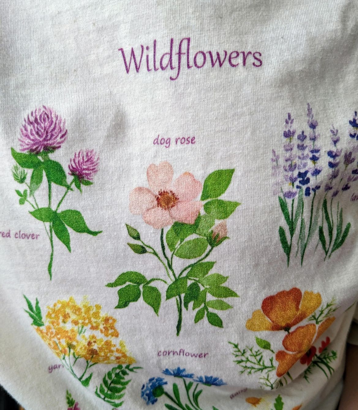 About the Wildflowers Tee - Aloe & Latte campaign on Bonfire 4