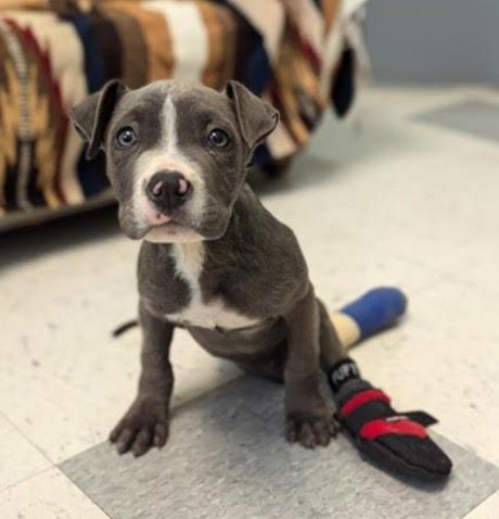 About the Levi's Legacy campaign on Bonfire 2