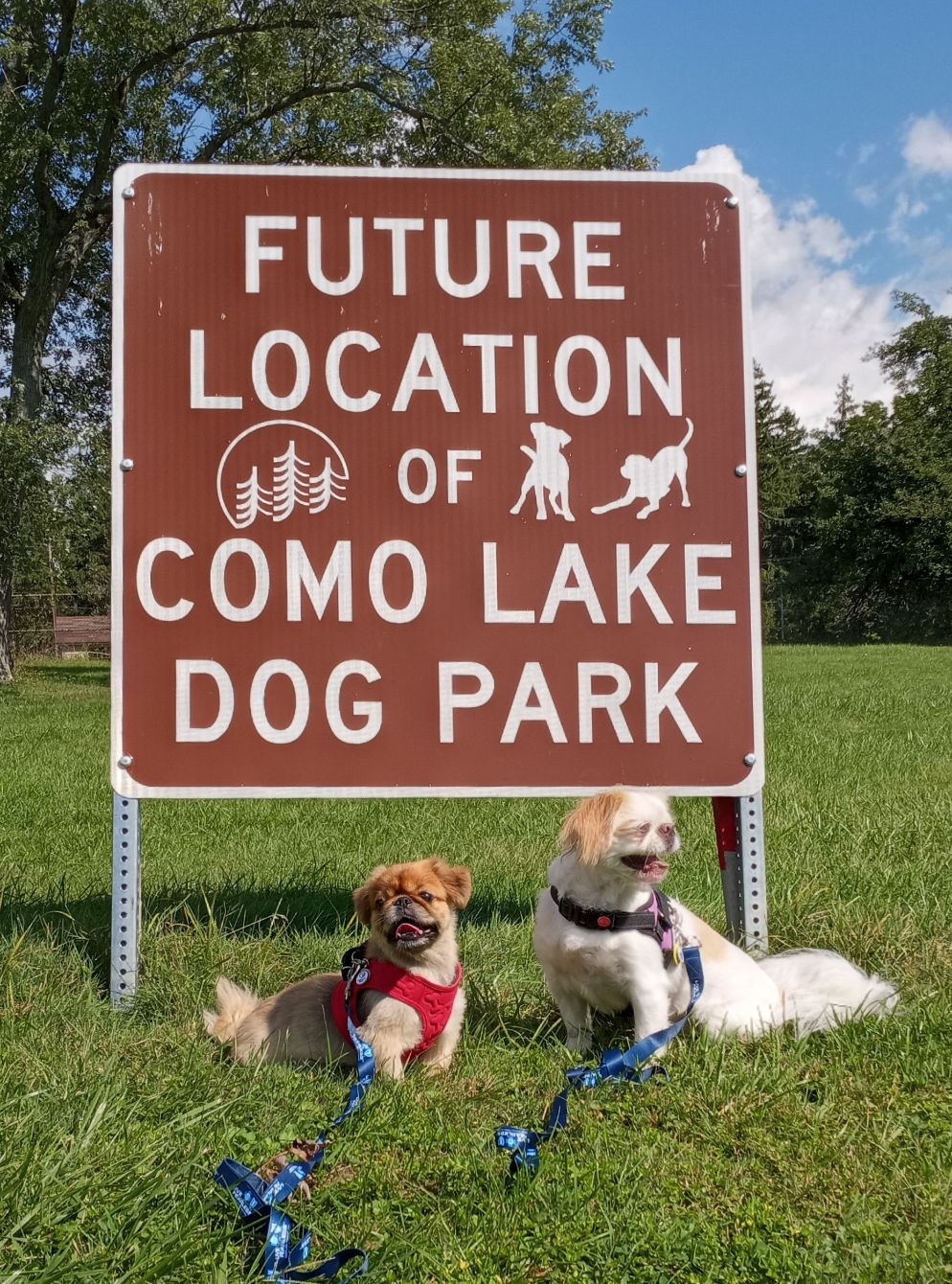 About the Como Lake Bark Park Gear! campaign on Bonfire 3