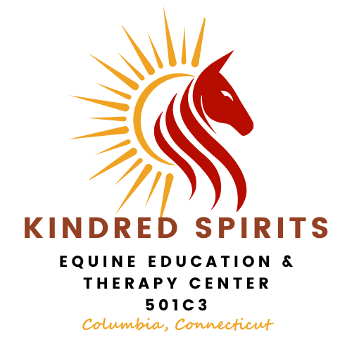 About the Kindred Spirits - Rescue and Retirement Fund campaign on Bonfire 2