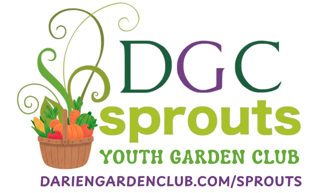 About the DGC Sprouts Wear campaign on Bonfire 2