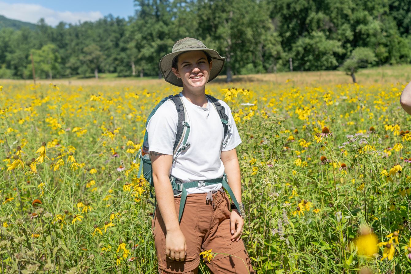 About the Mayapple- Dark Font campaign on Bonfire 4