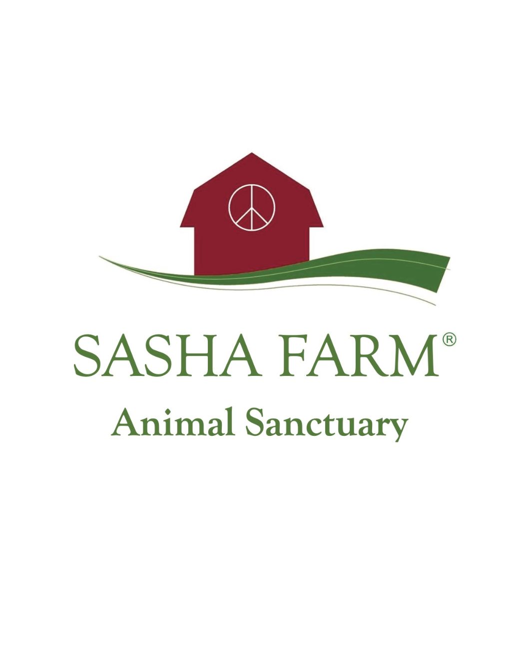About the SASHA Farm logo tank tops campaign on Bonfire 2