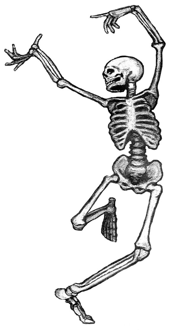 About the Dancing Skeletons- Practice of Living & Dying campaign on Bonfire 2