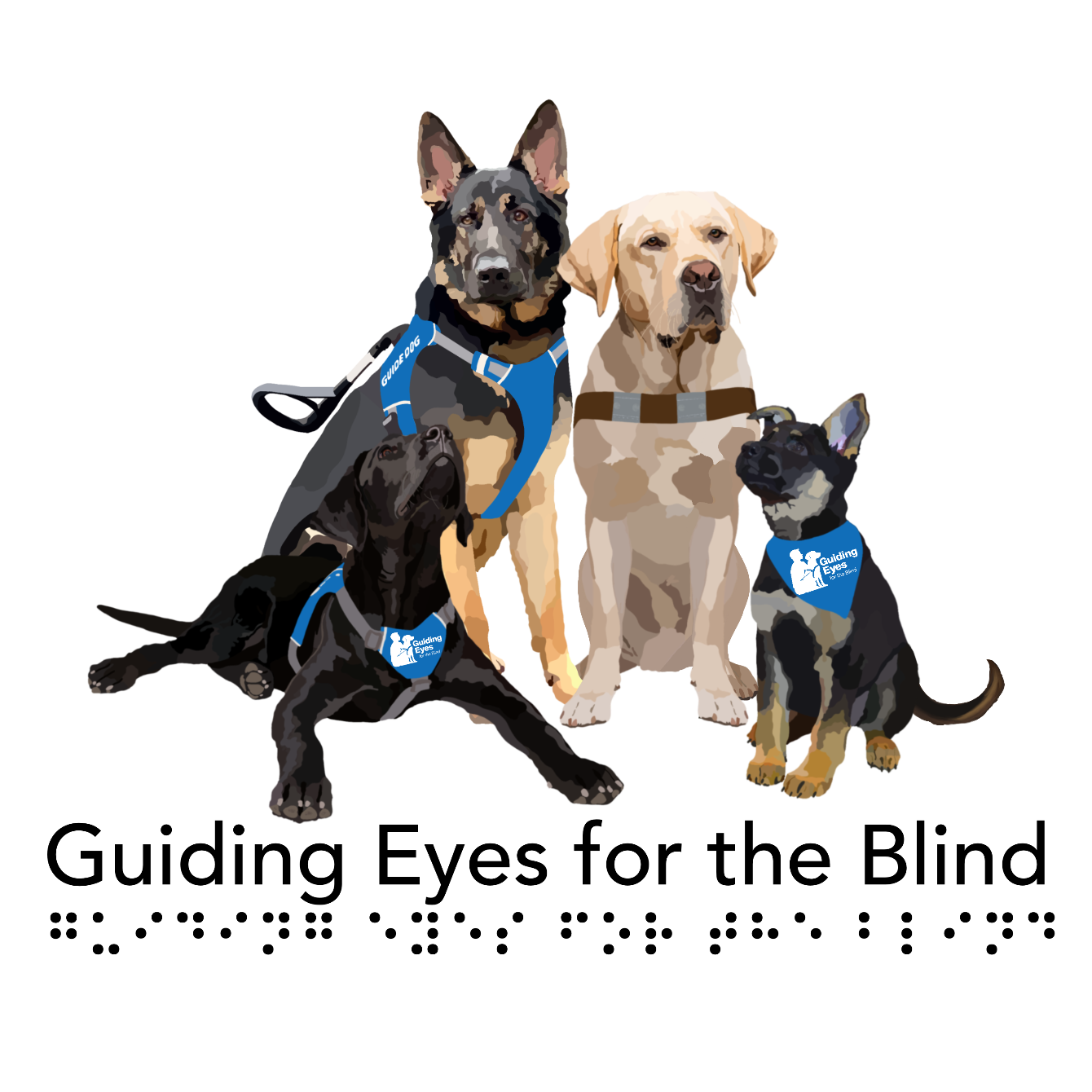 About the Guiding Eyes for the Blind Region Fundraiser campaign on Bonfire 2