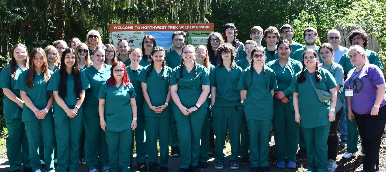 About the NEWTech Prep Veterinary Assisting campaign on Bonfire 2