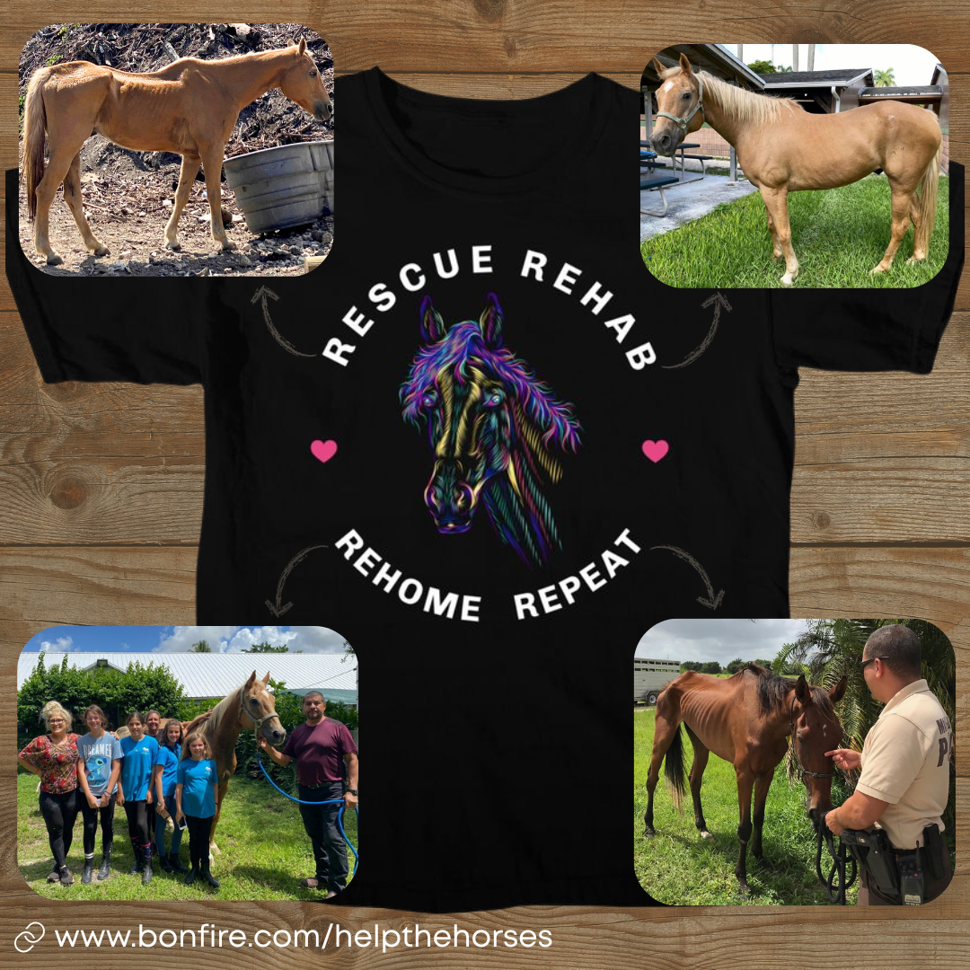 About the RESCUE, REHAB, REHOME, REPEAT! campaign on Bonfire 2