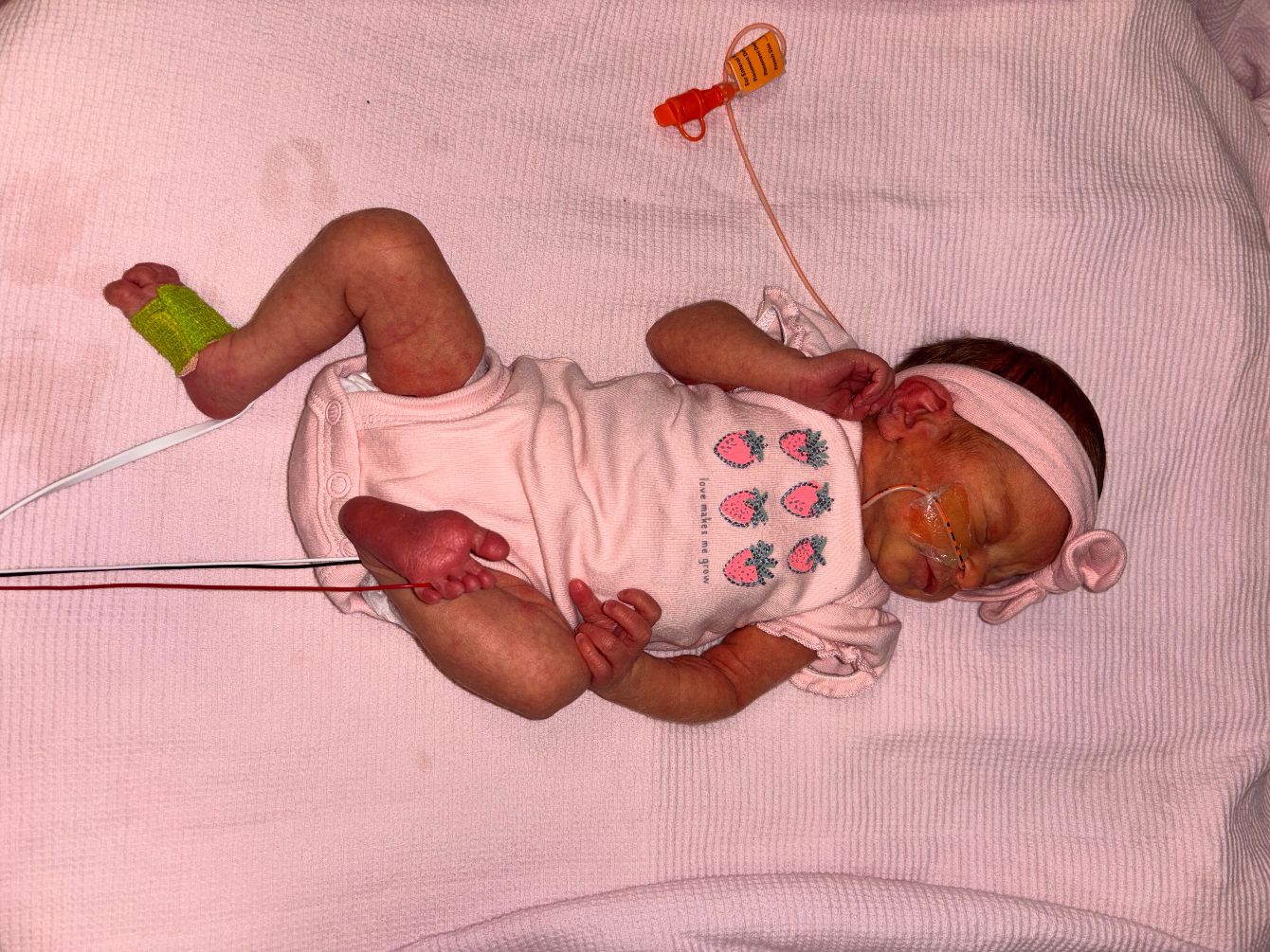 About the Impatient Since Birth campaign on Bonfire 5