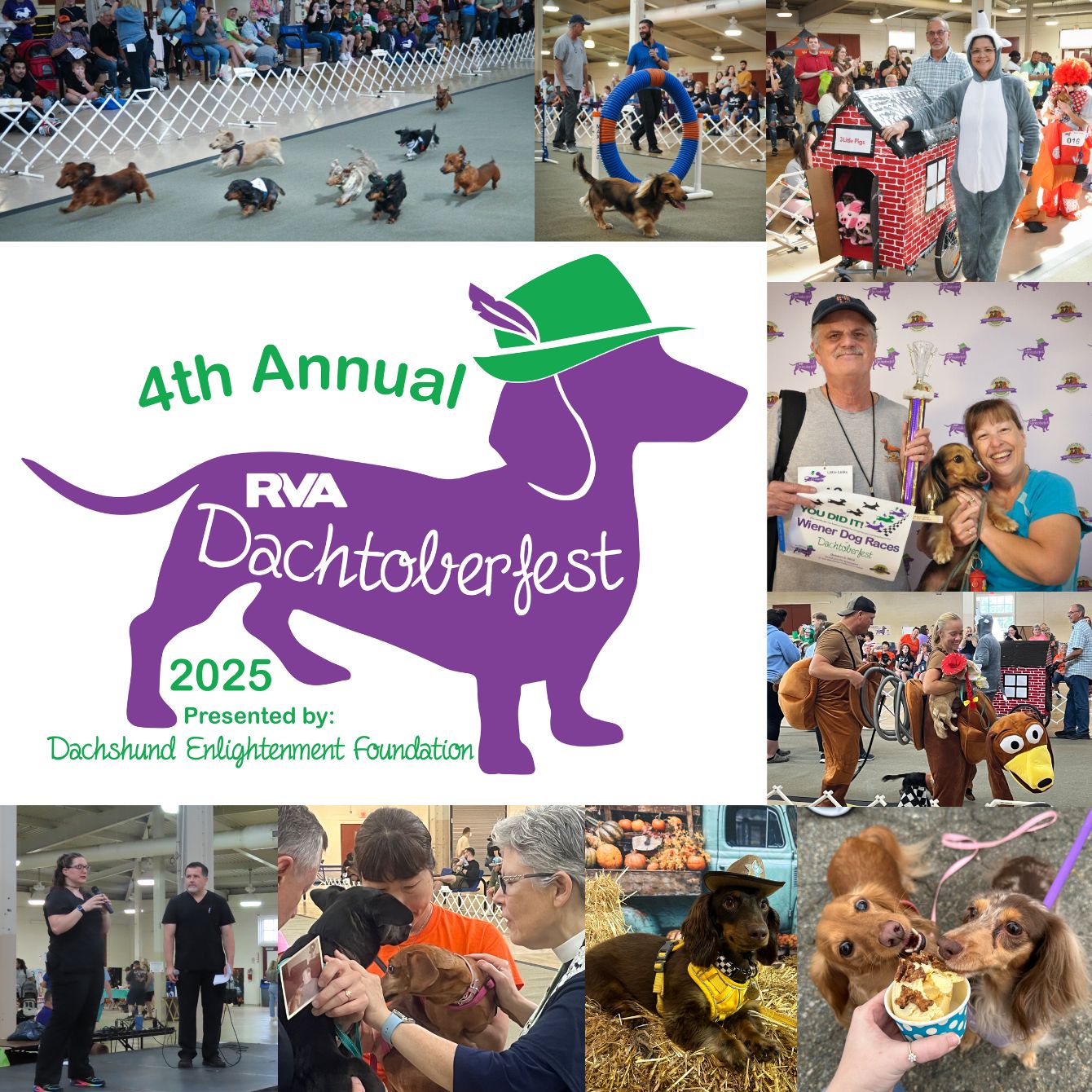 About the 2025 RVA Dachtoberfest Shirts campaign on Bonfire 3