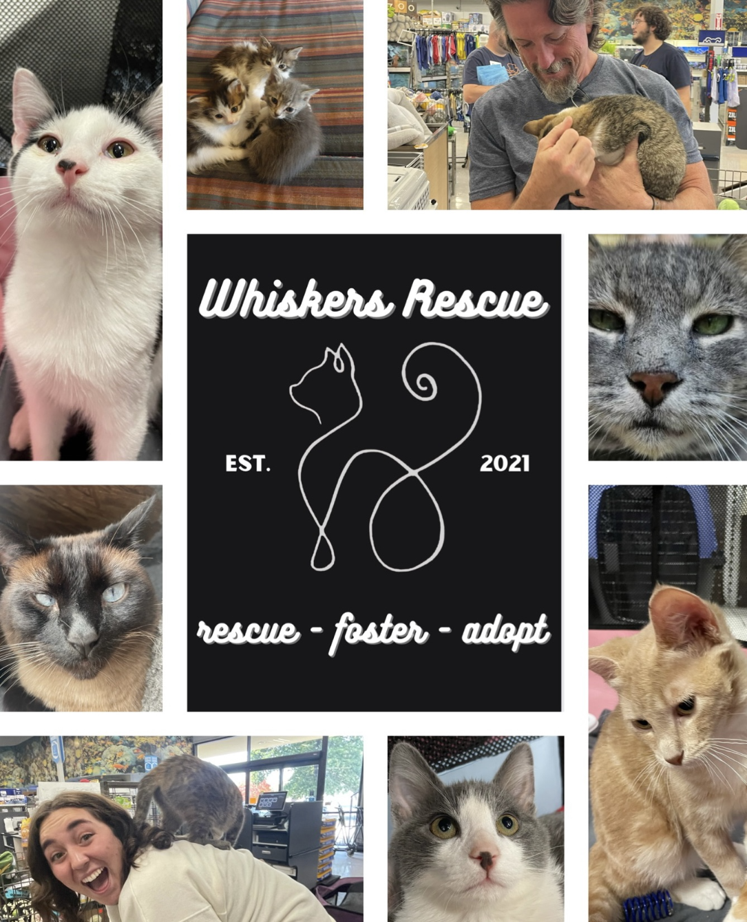 About the Whiskers Rescue - NWA campaign on Bonfire 2