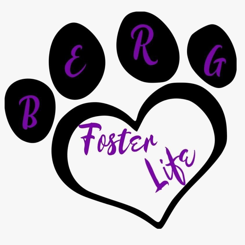 About the Berg Foster Life campaign on Bonfire 2