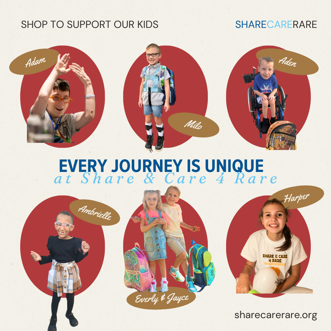 About the  campaign on Bonfire 2