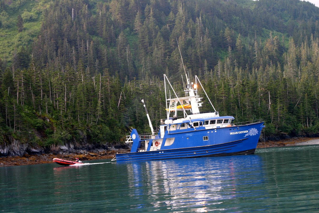 About the  campaign on Bonfire 2