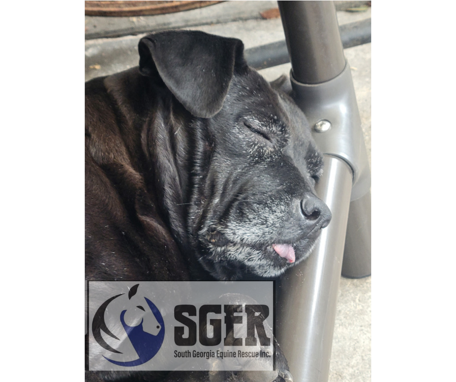 About the  campaign on Bonfire 2